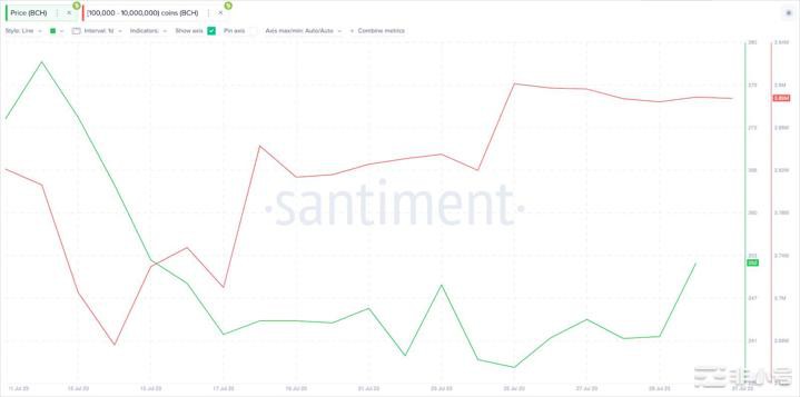 看涨鲸鱼能否在8月份将比特币现金价格推高至300美元以上?