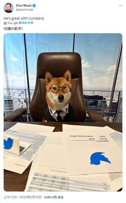 因为Musks发布了狗的照片–1美元SHIB即将到来？