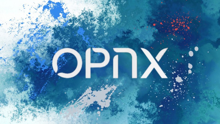 「三无」项目IEOOPNX的Launchpad到底在愚弄谁?