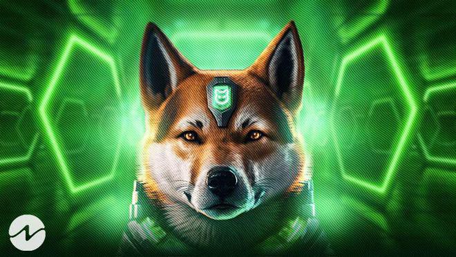 SHIB会在mps发布之前飙升吗?