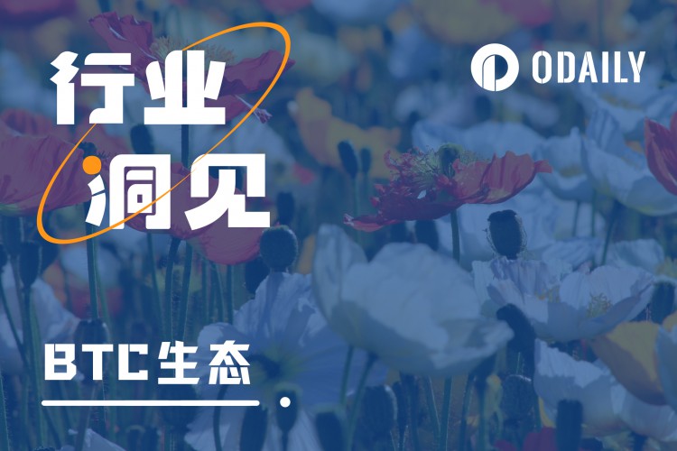 BTC生态协议盘点哪些协议能笑到最后?