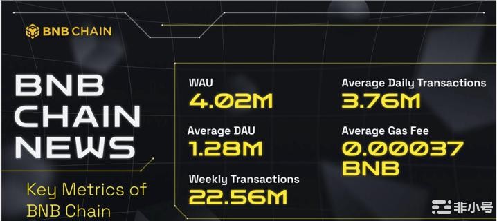 尽管市场存在不确定性，BNB 网络仍保持弹性
