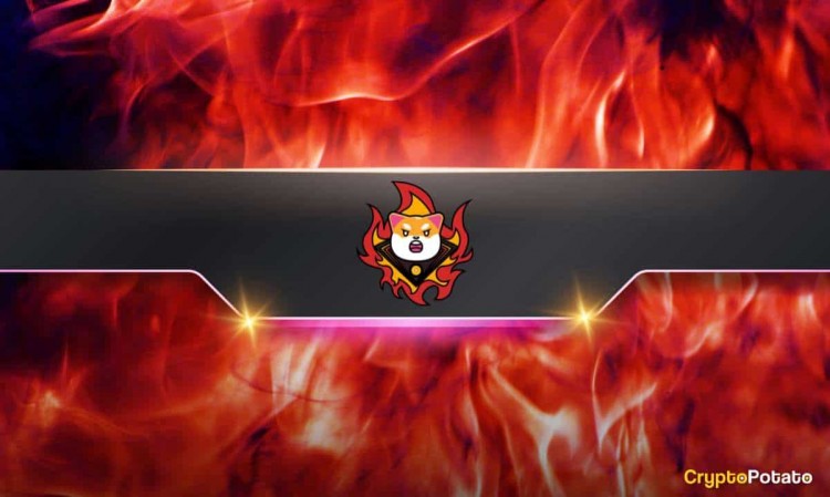 Shiba Inu 燃烧率飙升，Shibarium 攀上新高峰：SHIB