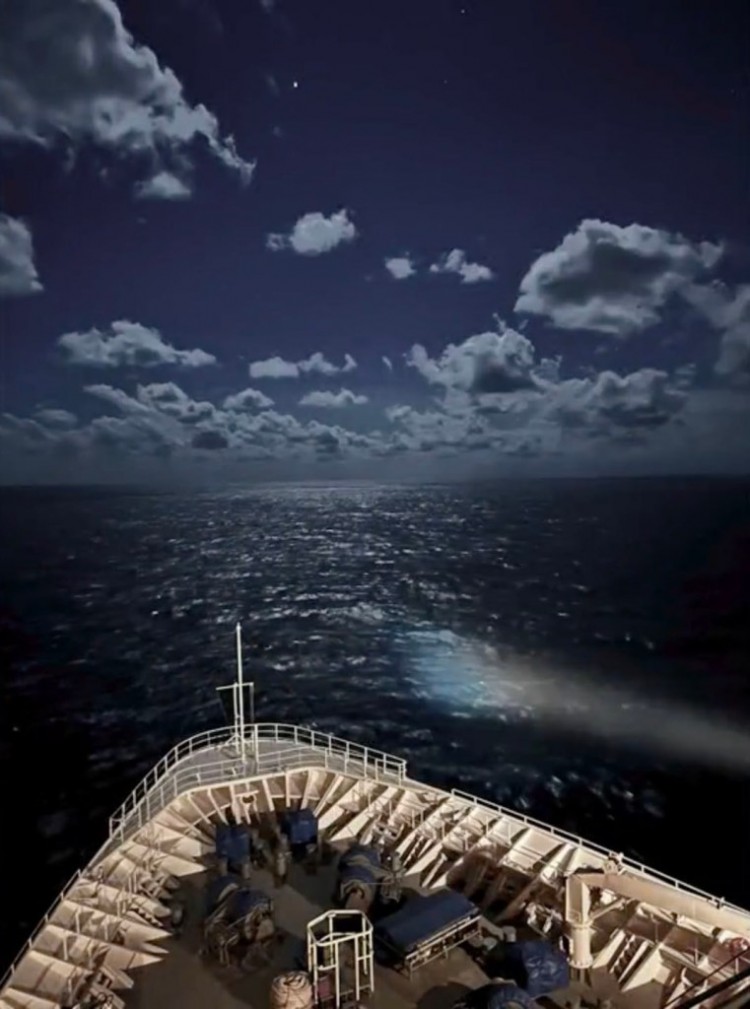 皇家加勒比游轮乘客在前往巴哈马群岛途中落水失踪