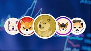 2024年投资5个最有趣的模因币！狗狗币、柴犬、Bonk，加入最新的meme币浪潮！