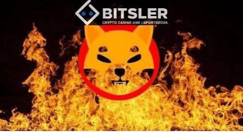 Shiba Inu：Shibarium 将于 2024 年 1 月开始燃烧 SHIB 代币