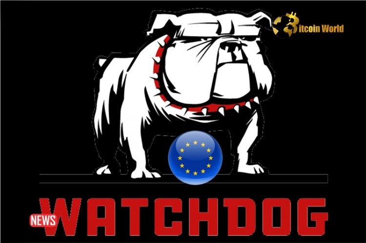 欧盟金融监管机构启动调查