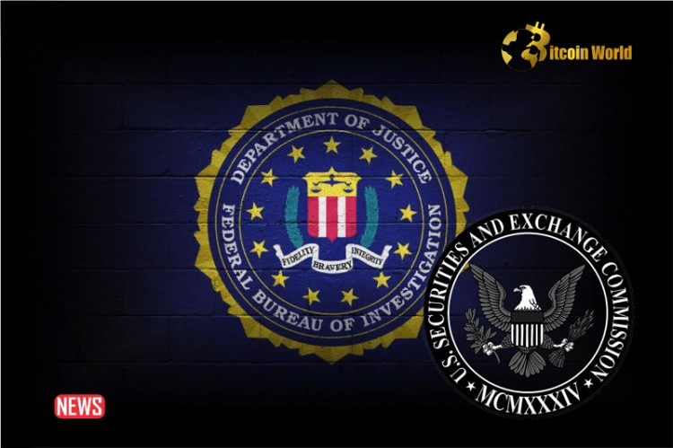 SEC to Work With FBI to Investigate 