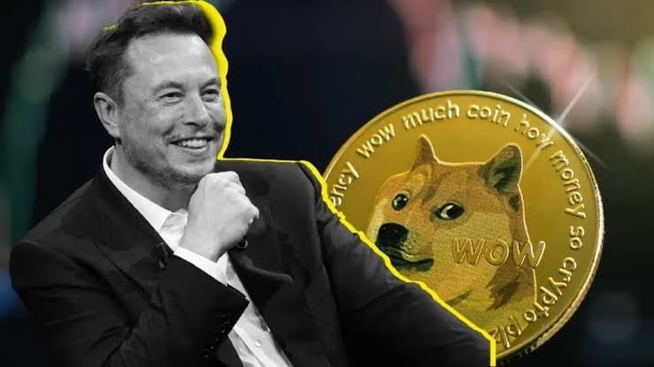 Elon Musk's Dogecoin Ownership Sparks Speculation: Shocking Details Revealed!