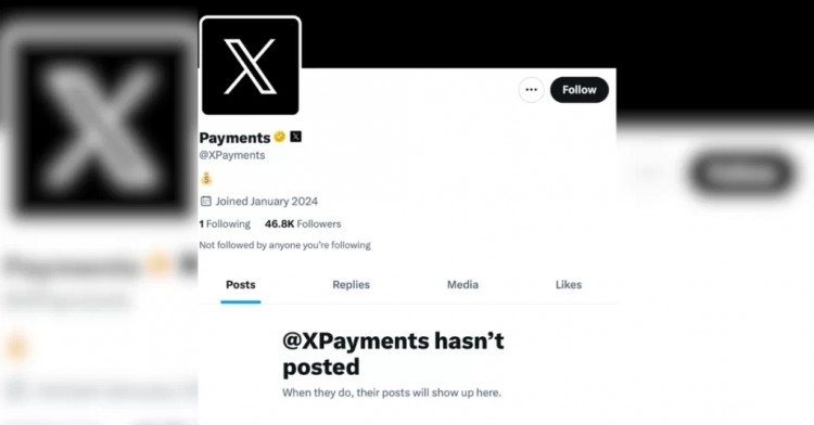 X正式制作XPAYMENTSX账户投机