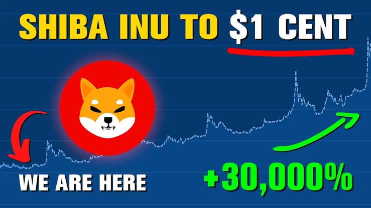SHIB 代币销毁率飙升1539%：Shiba Inu 价格稳定的关键因