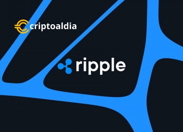 XRP offers a comprehensive and transparent view on the current and future state of this cryptocurren