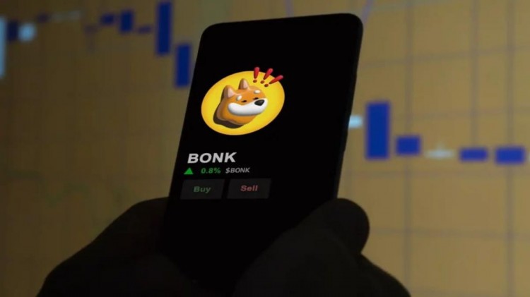 在斐波那契0.38黄金比例的支撑下，BONK可能飙升50%