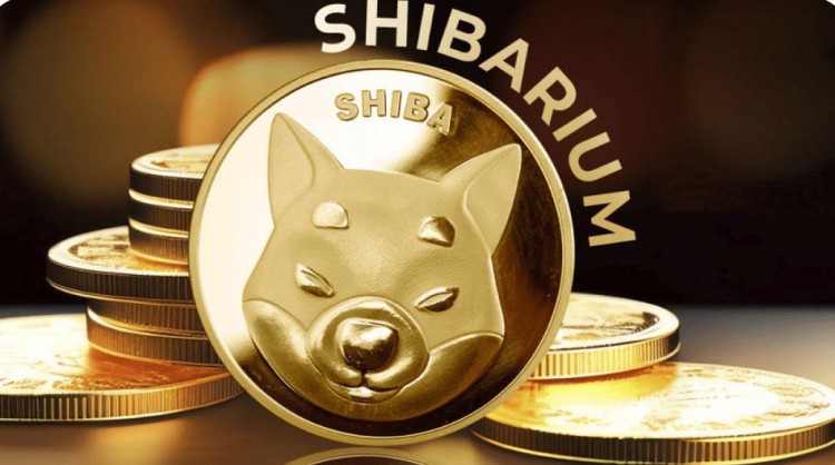 Shibarium 和 Shiba Inu 的相关增长数据洞察 - SEO标题