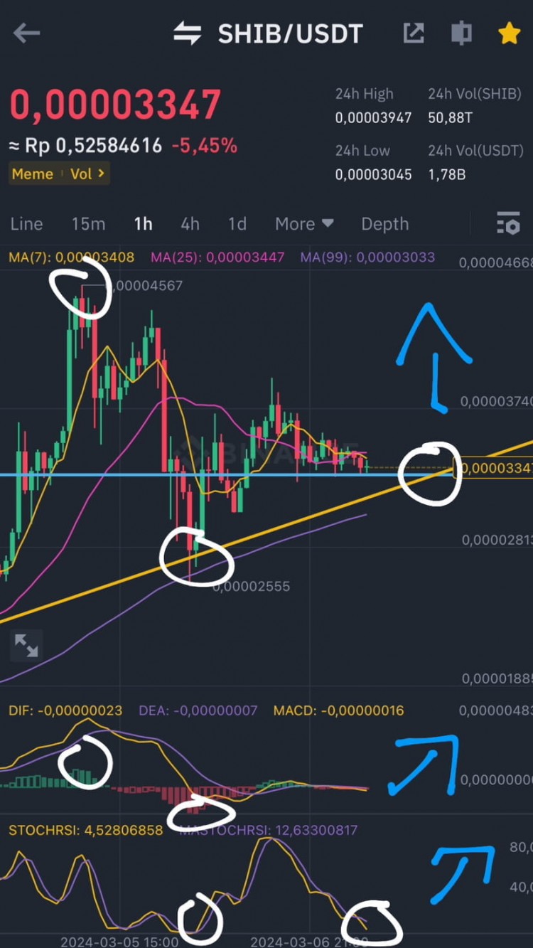 3月7日-SHIB：柴犬即将踏上另一次牛市之旅！现在参与活动，品尝柴犬，达成目标！