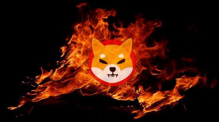 Shiba Inu Cryptocurrency Burn Rate Skyrockets: 1600% Increase, 89 Mln SHIB Tokens Burned by Communit