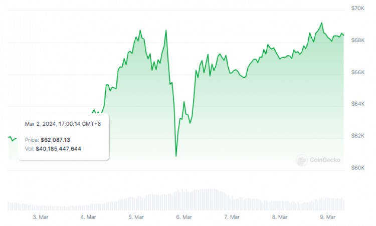 比特币看涨交响曲历史数据预测11月大结局