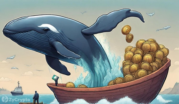 分析师警告称随着鲸鱼抛售<a title='注册并实名送比特币' href='https://okk.meibanla.com/btc/okex.php' target='_blank' class='f_a'>比特币</a>比特币价格将出现大幅调整