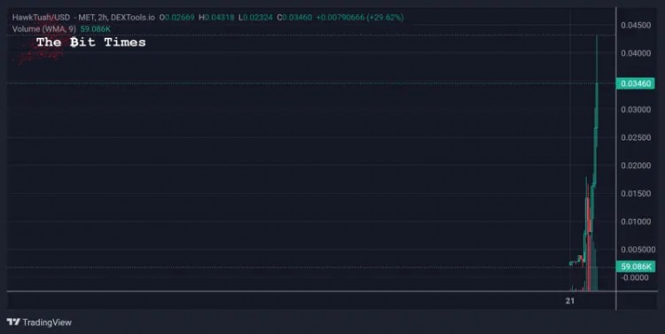 今天索拉纳链上的热门加密货币HAWKTUAHSOLLYCANDLECAT