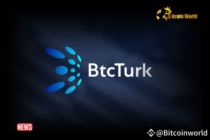 BtcTurk 加密货币交易所首席执行官 Ozgur Guneri 辞职