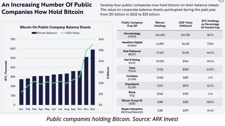 BCH为在斯洛文尼亚举行的BLISS2025CONFERENCE的BCH备份5月的网络升级