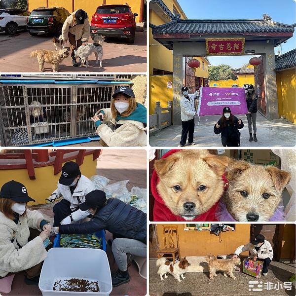 币赢公益联盟走进上海报恩寺 为近万只流浪动物捐赠爱心物资